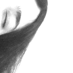 parastoo23
