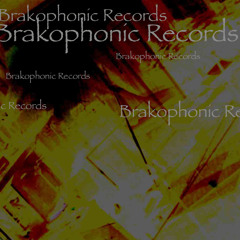 Brakophonic Records