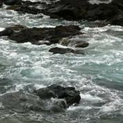 Chris Wishart-turner