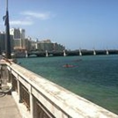 Jose E. Muñiz Gayá