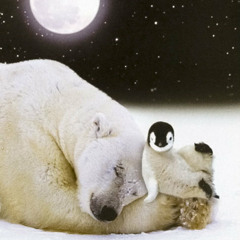 Polar Bear Noodles