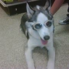 Alejandro Jimenez 85