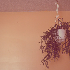 this is all old stuff