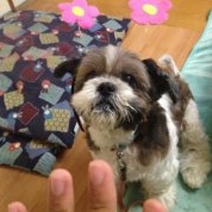 Yusuke Ota 4