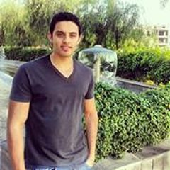 Mohamed A. Hussein 1