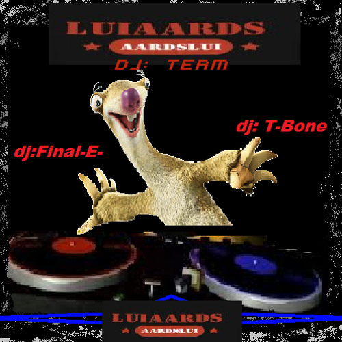 Luiaards dj Team’s avatar