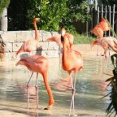 Melissa Roberts Martinez