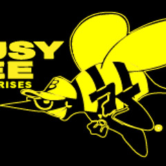 Bee Enterprises