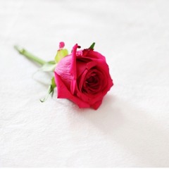 alsa3eed_a
