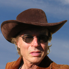 Harlan Michael