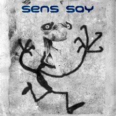 Sens Say