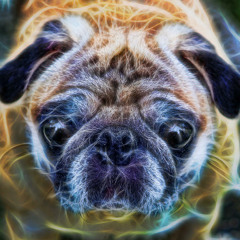 ॐ Skaro_PsyPugॐ­