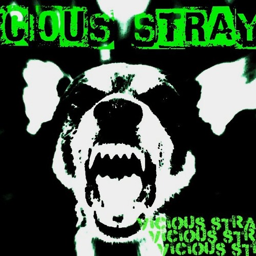 Vicious Strays’s avatar