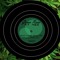 GREEN RAVE