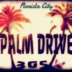 PalmDrive ZoeMarley