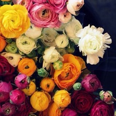 mounira__