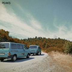 P E A K S