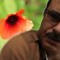 Alireza Toufigh