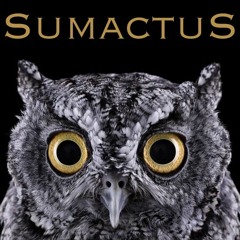 sumactus.smcts