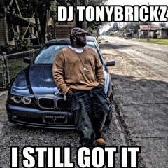tonybrickz