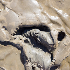 The Free Battistists