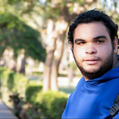 hamed gamal