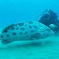 Dennis Douglas Hagemann