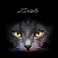 Zoah