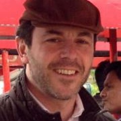 Harry Wynne-Williams