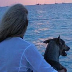 Astrid Donker Curtius