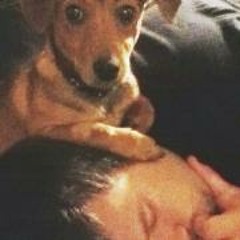 Austin 'Waldo' Shotwell