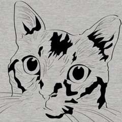 Listen To いかりや長介のドリフ大爆笑オープニングトークmegamix By J U L I E In Playlist ザ ドリフターズ The Drifters Playlist Online For Free On Soundcloud