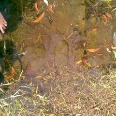 Old Fashioned Suitcase