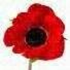 Mark Bagshawe-Taylor