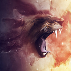 Progressive / Electro House