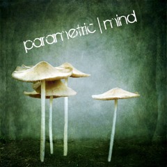 Parametric _Mind