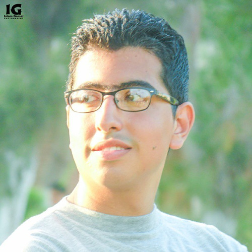 Ali Elnaggar 1’s avatar