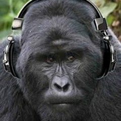 Steve Baker Sound Guy