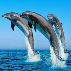 ترانيم اطفال