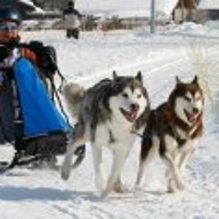 Margrit Brechbuehler