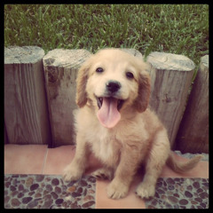 Kike