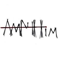 AMP4Him