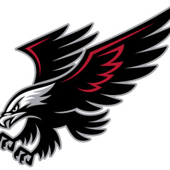 andrew_hawks
