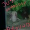 seamonkey70