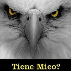 Miguel El Bory Nieves