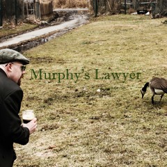 Murphy'sLawyer