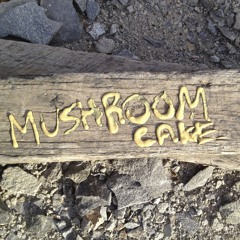 Mushroom Cake