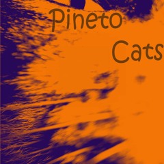 Pineto Cats
