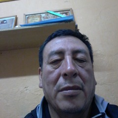user354536173