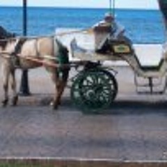 Brenda Godwin Brockington